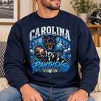 Carolina Panthers Graphic Shirt, Sweatshirt or Hoodie, Football Fan Apparel