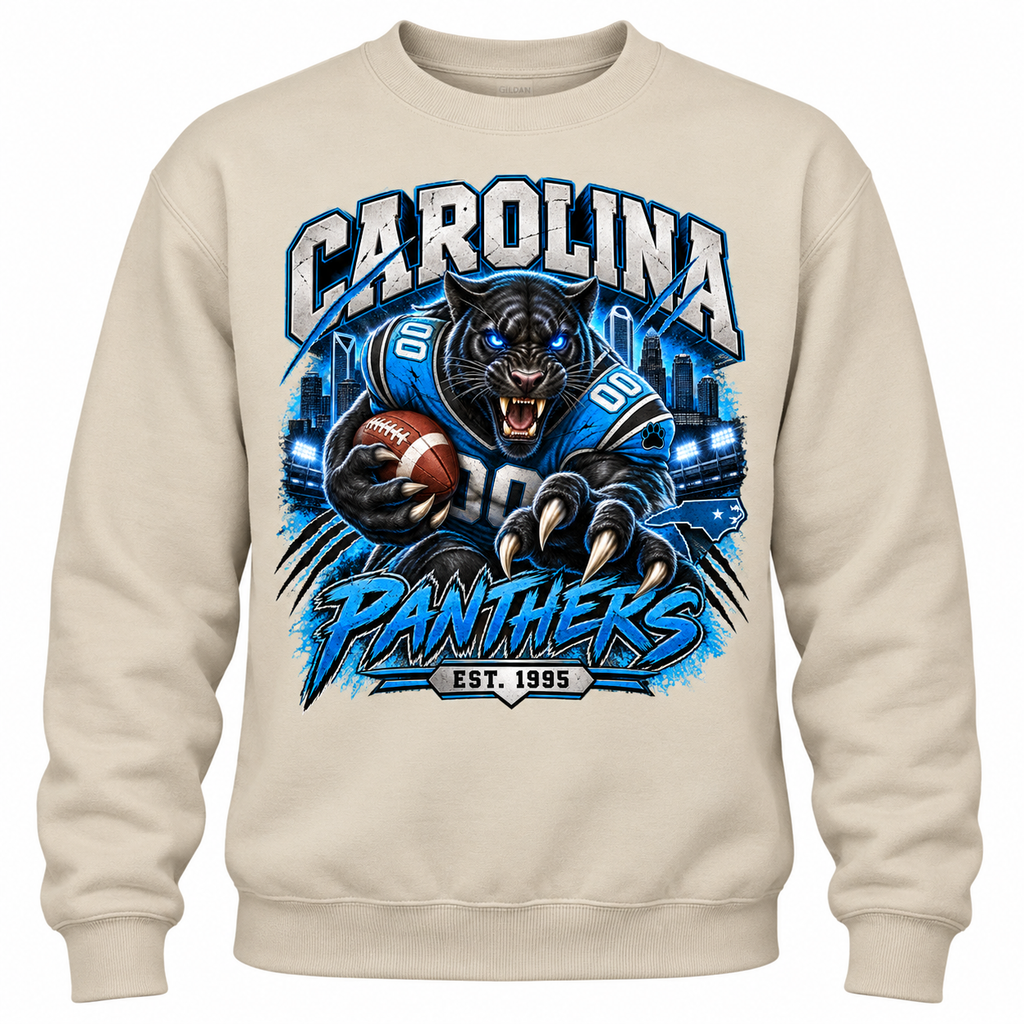 Carolina Panthers Graphic Shirt, Sweatshirt or Hoodie, Football Fan Apparel