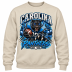 Carolina Panthers Graphic Shirt, Sweatshirt or Hoodie, Football Fan Apparel