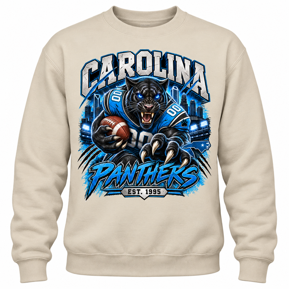 Carolina Panthers Graphic Shirt, Sweatshirt or Hoodie, Football Fan Apparel
