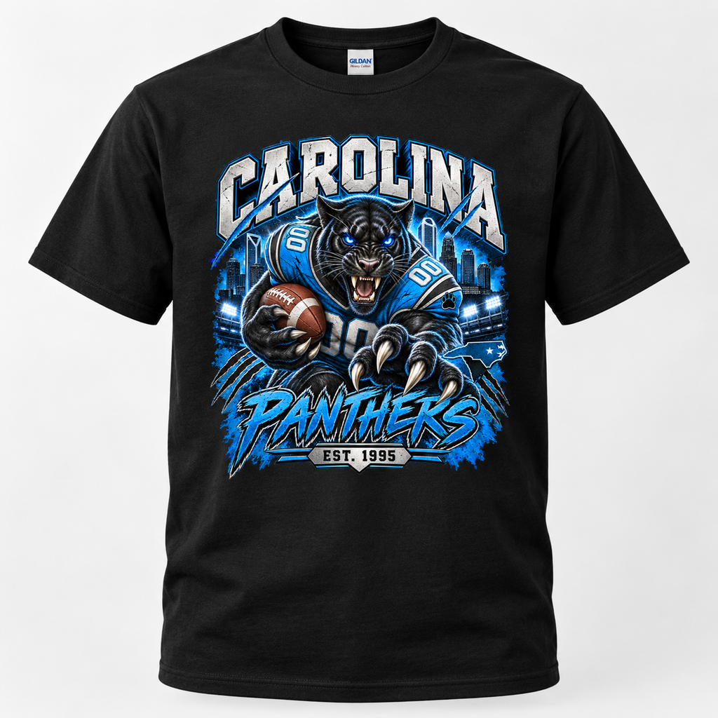 Carolina Panthers Graphic Shirt, Sweatshirt or Hoodie, Football Fan Apparel