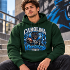 Carolina Panthers Graphic Shirt, Sweatshirt or Hoodie, Football Fan Apparel