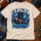 Carolina Panthers Graphic Shirt, Sweatshirt or Hoodie, Football Fan Apparel
